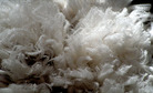 Wool Australian merino